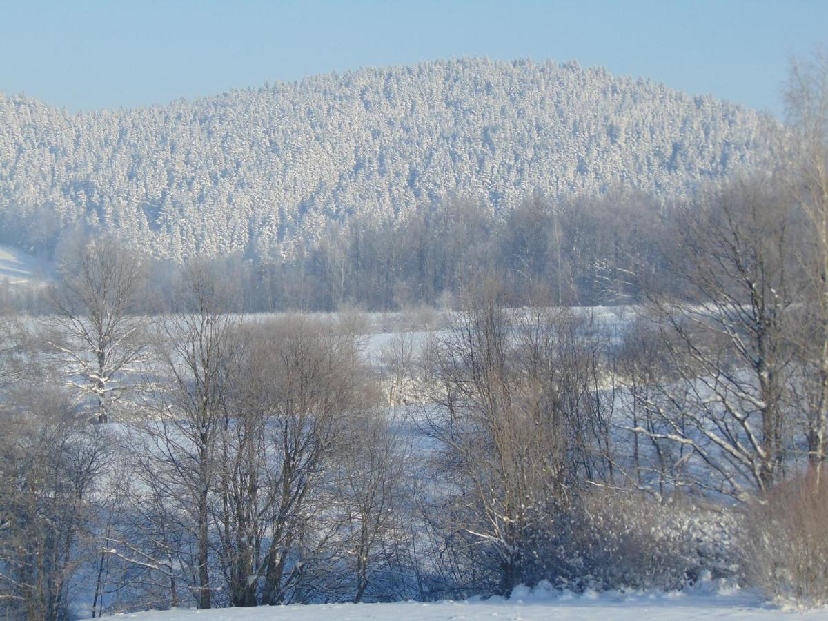 Pod Roza Villa Kasina Wielka Bagian luar foto